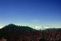 Teneriffa, La Gomera und La Palma